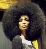 70s Afro hair Model required for colour