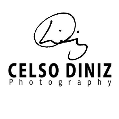 Celso Diniz